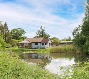 Dragonfly Lodge 