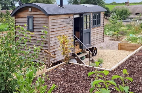 Chute Forest Cottage | 1 bedroom accommodation in Collingbourne Ducis, Marlborough