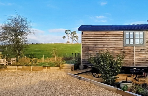 Chute Forest Cottage | 1 bedroom accommodation in Collingbourne Ducis, Marlborough