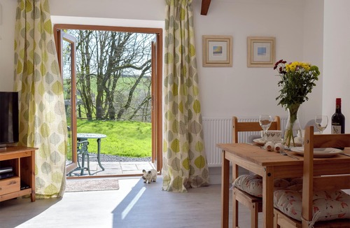 Llanybydder Cottage | 1 bedroom accommodation in Cwmsychpant, near Lampeter