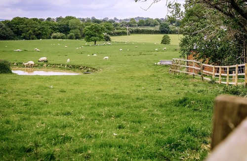 Malpas Cottage | 1 bedroom accommodation in Bickley, near Malpas
