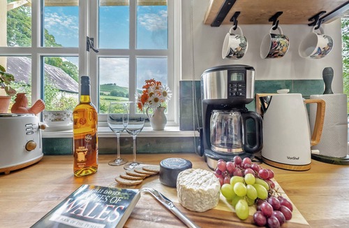 Tal-gareg Cottage | 2 bedroom accommodation in Ffostrasol