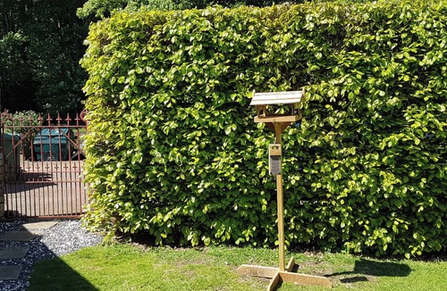 Duns Cottage | 2 bedroom accommodation in Duns