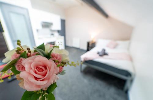 Selly Oak Apartment | 24 Dale Road Studios