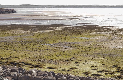 Haverigg Cottage | 3 bedroom accommodation in Haverigg, near Millom