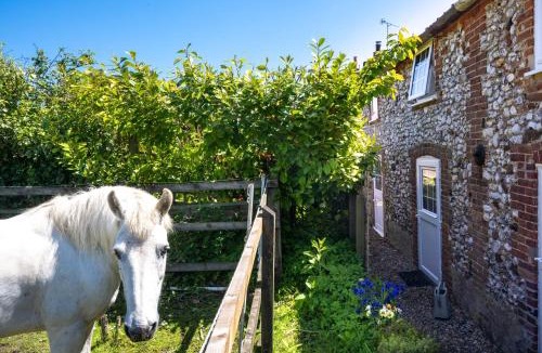 Docking House | 3 Chapel Cottages