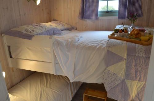 Bedfield House | 3 - Cosmos
