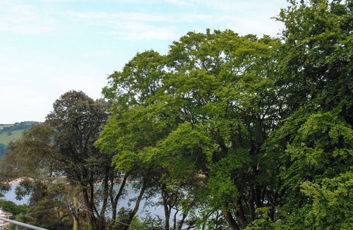 Salcombe Cottage | 3 Melbury