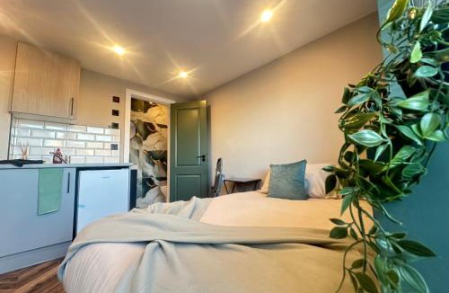 Gillingham House | 4 Luxury Mini Studio Room with Parking, Wi-Fi, Workers