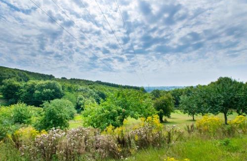 Liverton House | 9 Bed in Broadhempston oc-bclowe