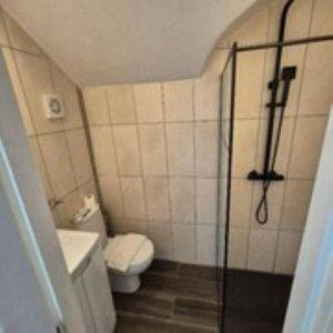 South Shore Hotel | Alexander Hotel