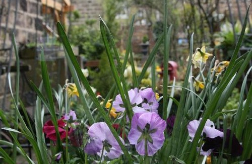 Harrogate Bed & Breakfast | Alexandra Court