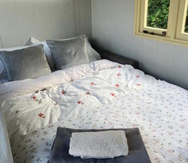 Beaworthy Other | Arcadia Shepherds Hut
