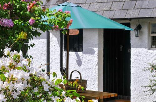 Dolgellau House | Bryn Araul
