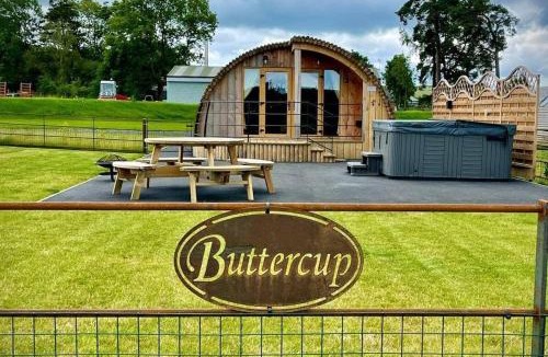 St Harmon House | Buttercup