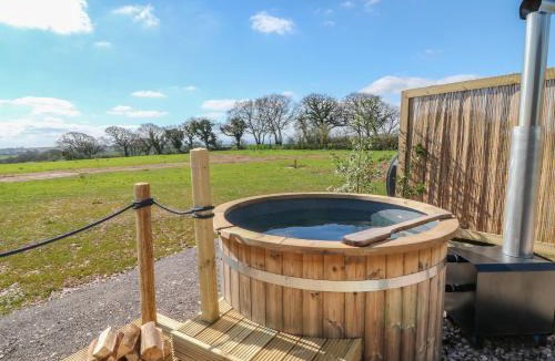 Crediton House | Buzzards