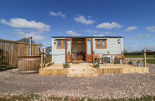 Crediton Cottage | Buzzards
