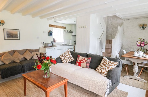 Abergorlech Cottage | Buzzards Watch