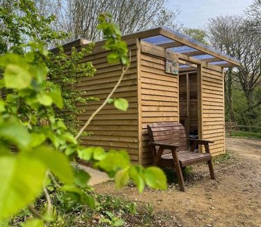 Ventnor Other | Camp Corve
