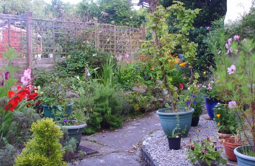 Lanner Cottage | Charming Cosy Annexe near Falmouth Portreath Central for exploring Cornwall