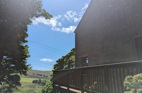 Alston House | Chestnut