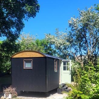 Mold House | Cwt Cen y Coed