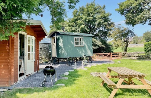 Cwmtirmynach Cottage | Cwt Tyddyn Shepherd's Hut
