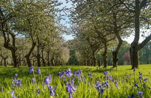Abbess Roding House | Deer Cottage 1 Uk39330