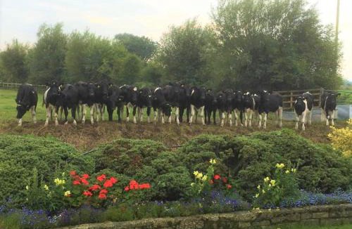Lower Godney Bed & Breakfast | Double-Gate Farm