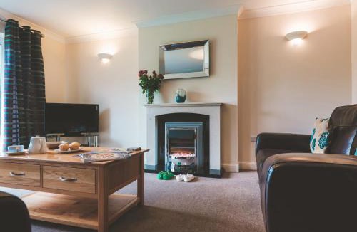 Bridgwater House | Dragonfly