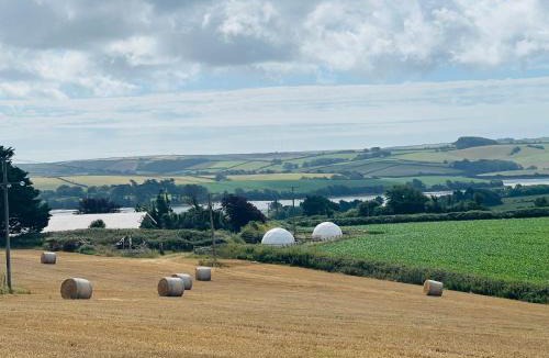 Kingsbridge Other | Ebb Dome at Estuary Escapes