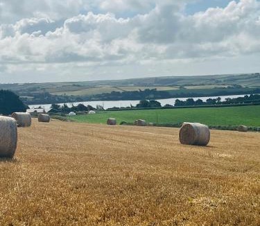 Kingsbridge Other | Ebb Dome at Estuary Escapes