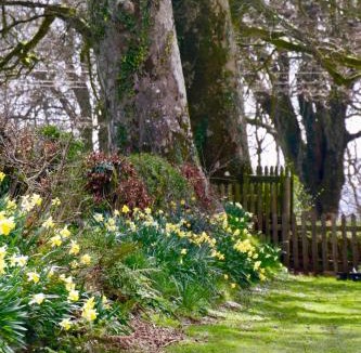 Kingswear Bed & Breakfast | Ebberley Escapes
