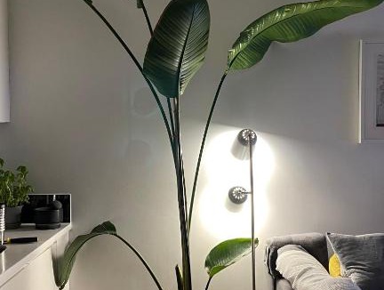 Deptford Apartment | Entire double bed flat with river view minimum stay 20 days