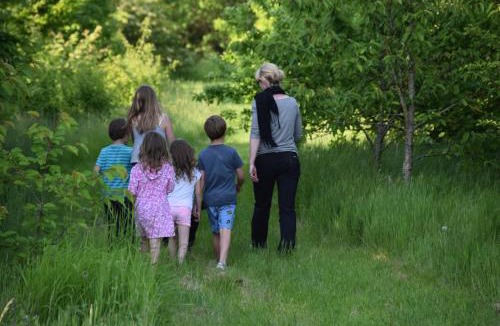 Ham Other | Fallow Fields Camping, Selson Farm