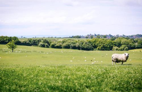 Malpas House | Farmhouse Wing