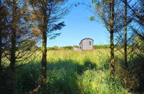 Llansantffraed House | Fir Tree Shepherd's Hut