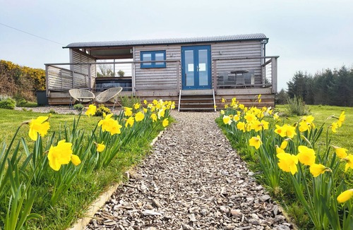 Llansantffraed Cottage | Fir Tree Shepherd's Hut