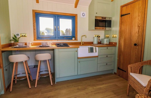 Llanon Cottage | FIR TREE SHEPHERD'S HUT, romantic, with hot tub in Llanon