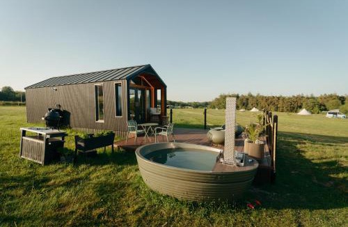 Sidmouth Other | Forest Edge