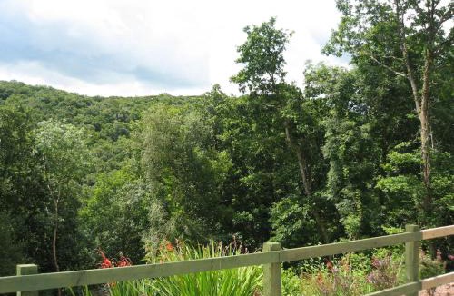 High Bickington House | Forest View North Devon