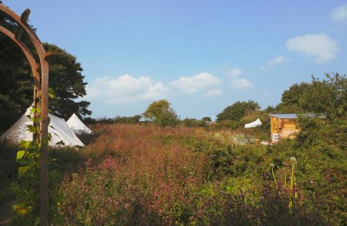 Marazion Other | Foxglove Field Glamping