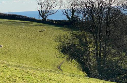Strete House | Frogwell