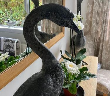 Helford Passage House | Fuchsia Cottage