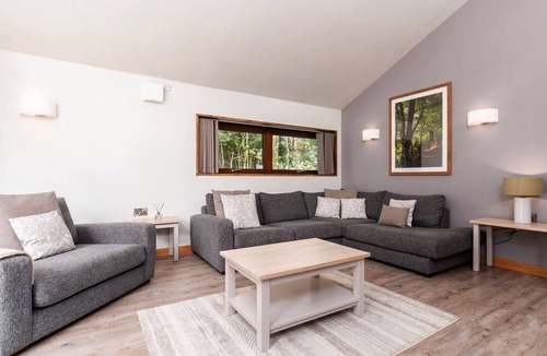 Peebles Cabin | Glentress Forest White Willow Premium, Peebles