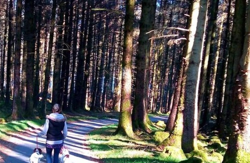 Ponterwyd Ski Chalet | Golygfa Dinas in Aberystwyth