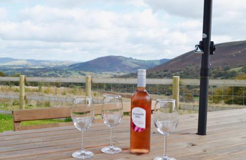 Llanwrthwl House | Gorsddu
