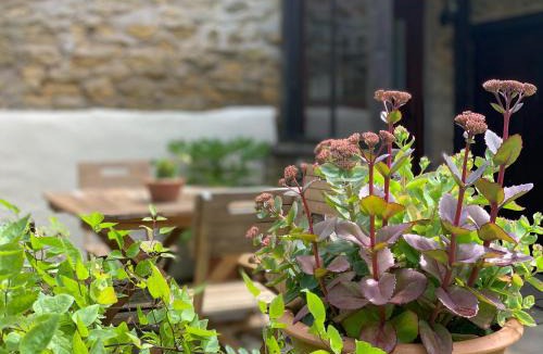 Potter Brompton House | Grain End