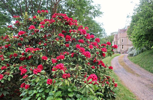 Malvern Cottage | Haslington House