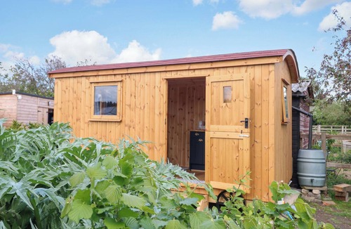 Welney Cottage | Hazel